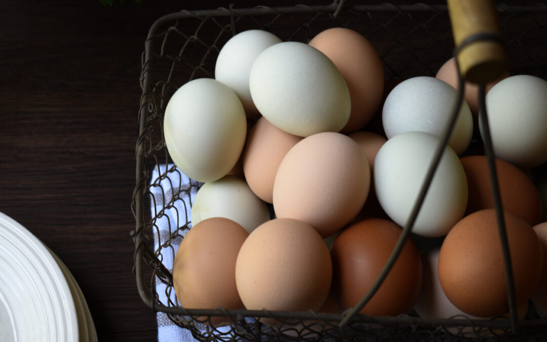 wire basket of colorful farm eggs