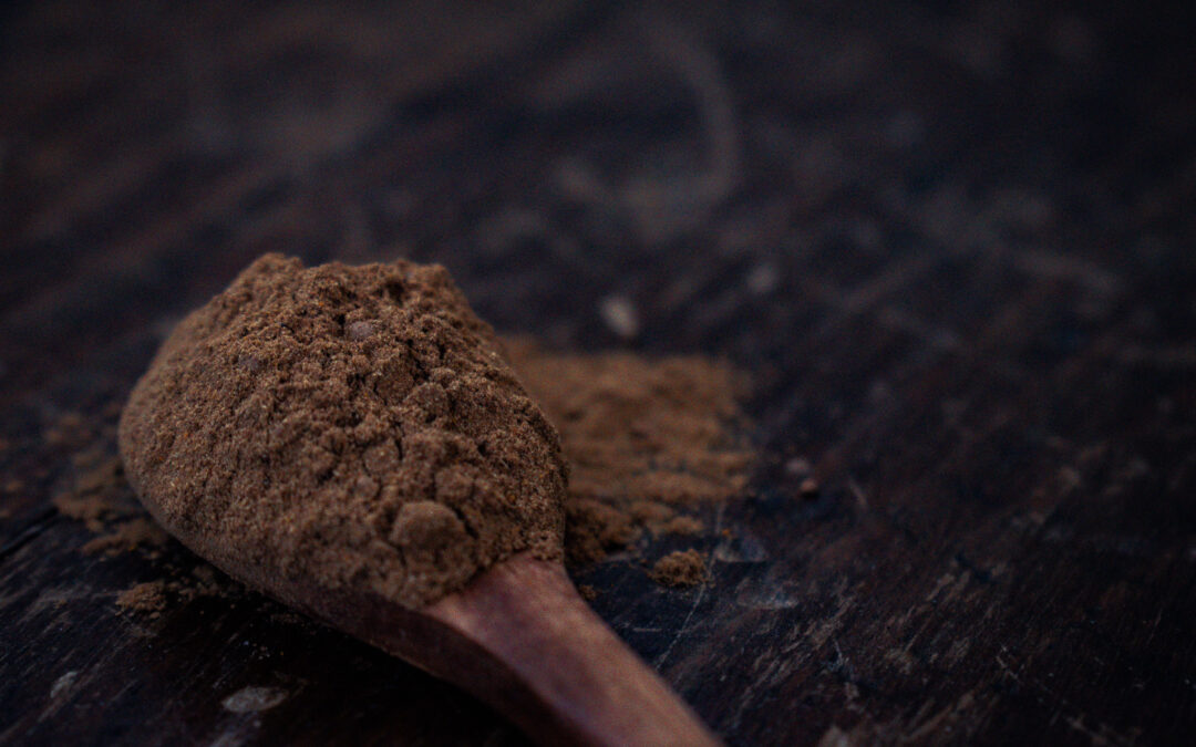 a wooden spoon full of mushroom coffee blend dry powder